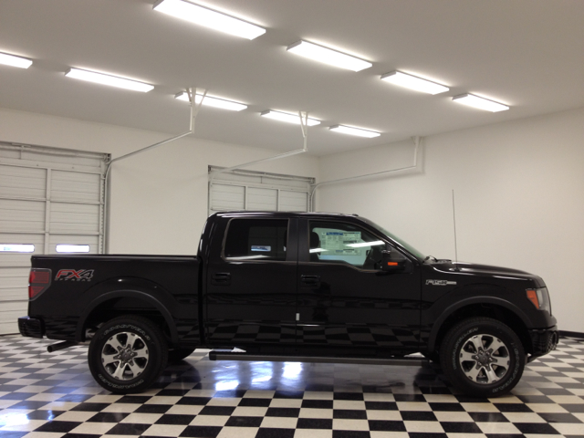 Ford F-150 2013 photo 2