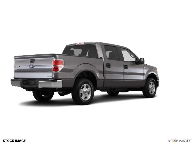 Ford F-150 2014 photo 2