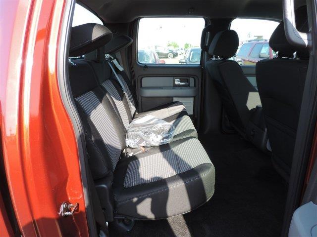 Ford F-150 2014 photo 3