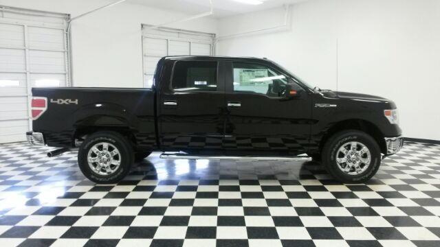 Ford F-150 2014 photo 3