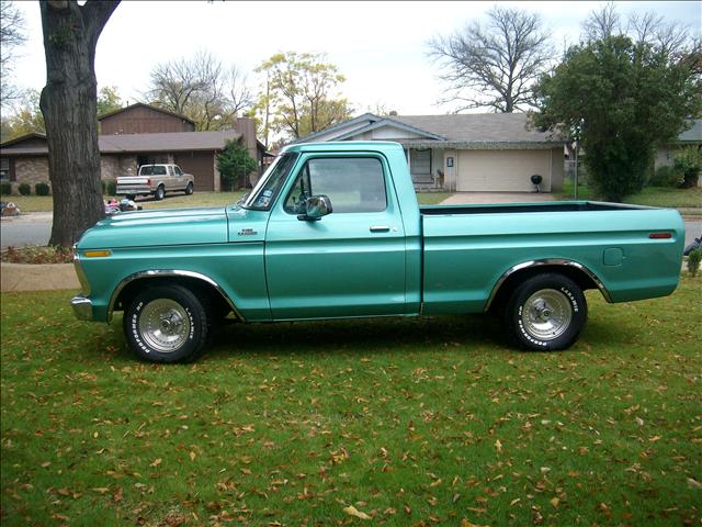 Ford F100 1977 photo 0