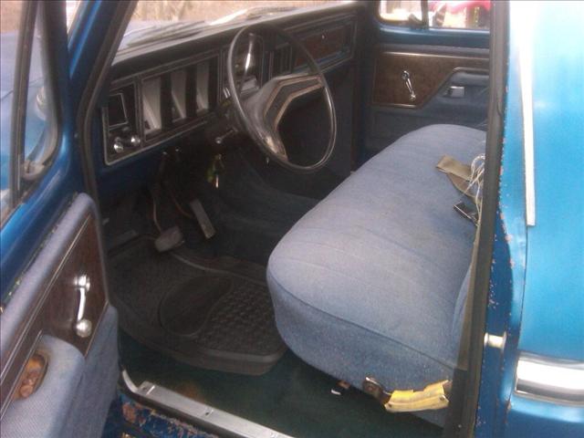 Ford F100 1979 photo 1