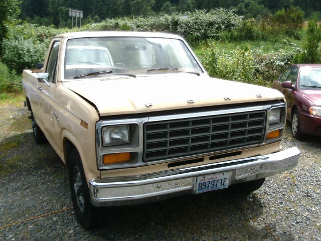 Ford F100 1981 photo 3