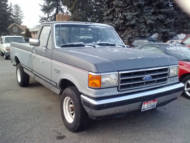 Ford F150 1991 photo 3