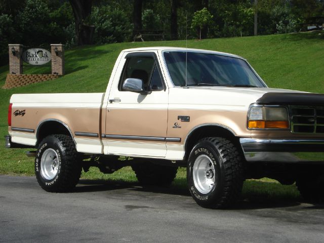 Ford F150 1995 photo 3