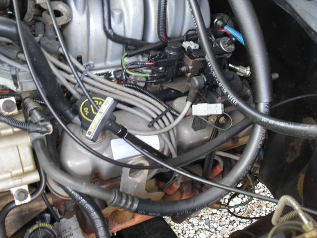 Ford F150 1996 photo 1