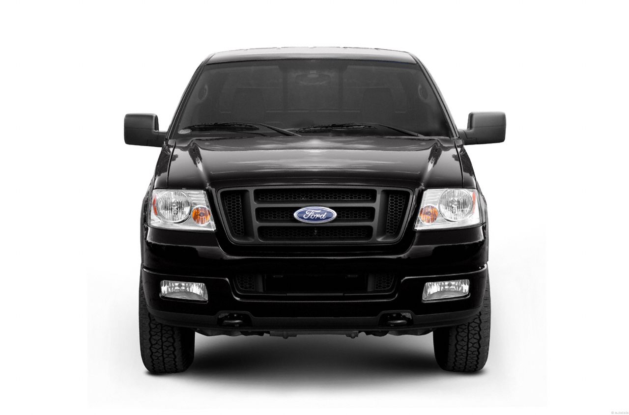 Ford F150 2004 photo 1
