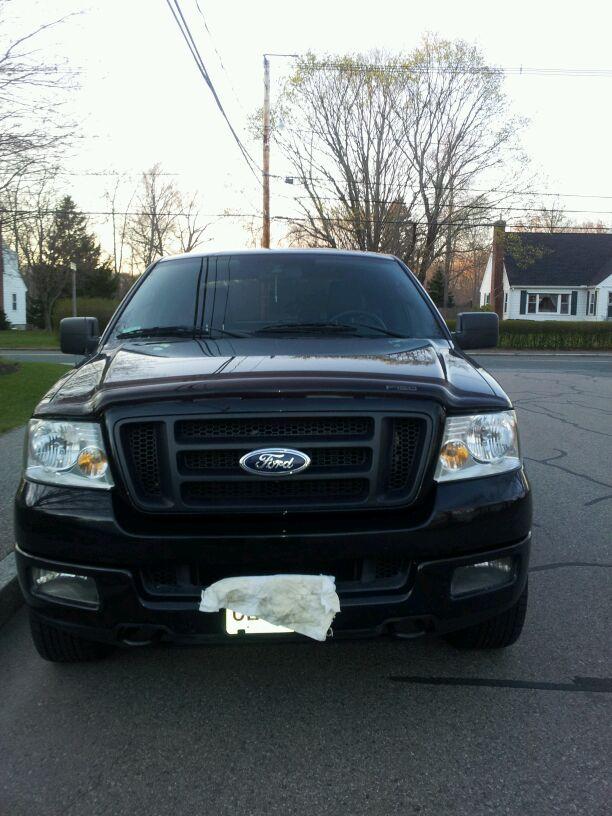 Ford F150 2005 photo 2