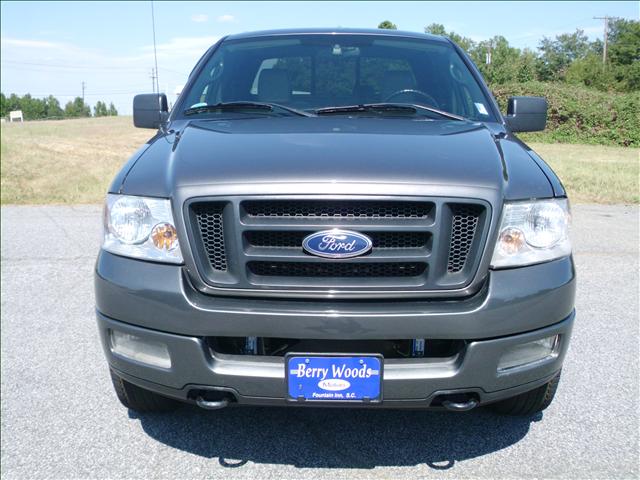 Ford F150 2005 photo 1