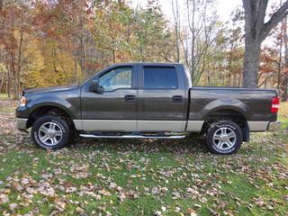 Ford F150 ESi Other