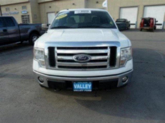 Ford F150 2009 photo 1