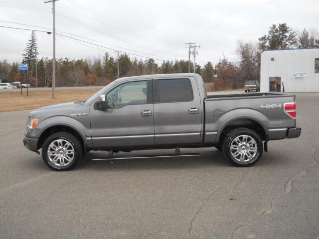 Ford F150 2009 photo 1