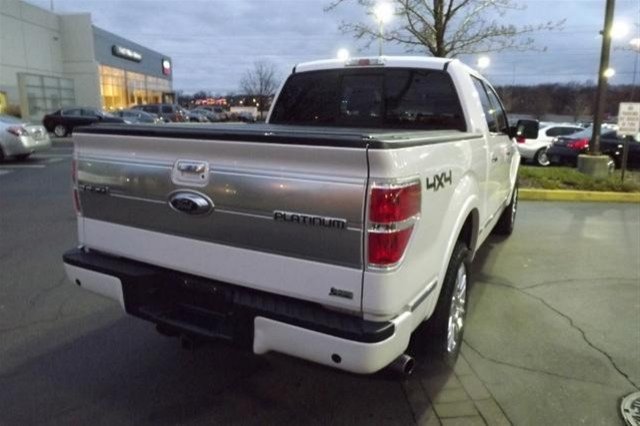 Ford F150 2010 photo 3