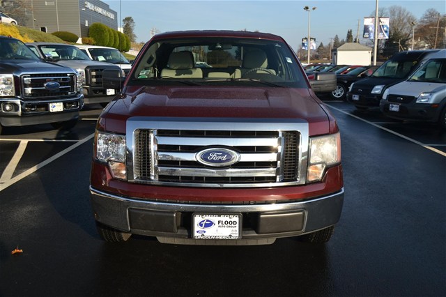 Ford F150 2010 photo 1