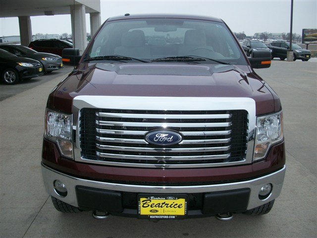 Ford F150 2010 photo 1