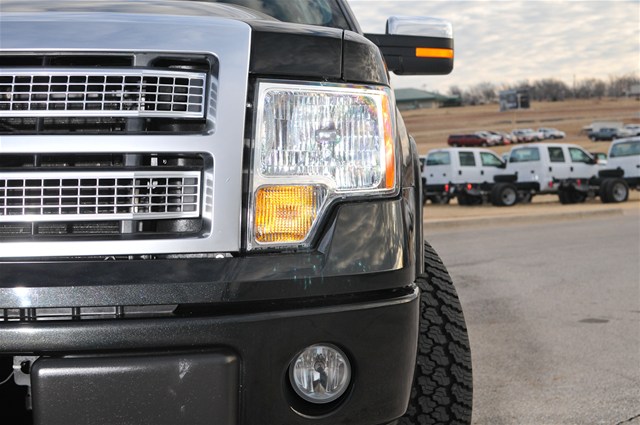 Ford F150 2010 photo 3