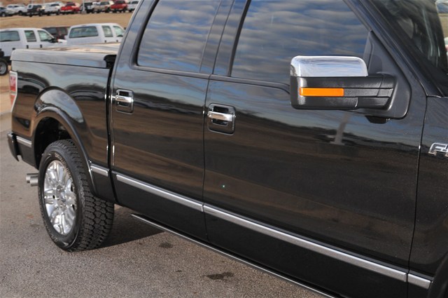 Ford F150 2010 photo 5