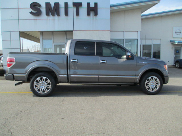Ford F150 2010 photo 3