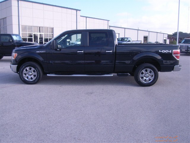 Ford F150 2010 photo 3