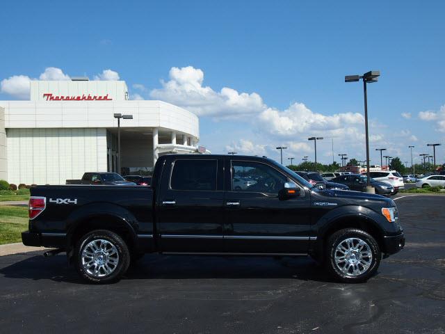 Ford F150 2010 photo 2