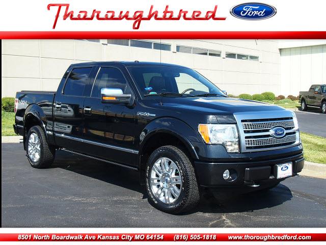 Ford F150 2010 photo 3