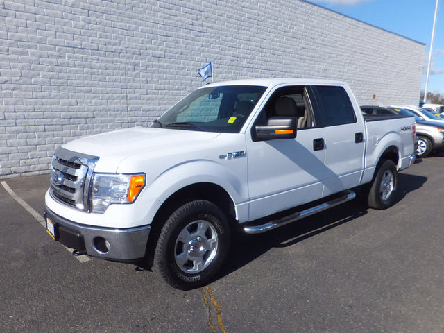 Ford F150 2010 photo 1