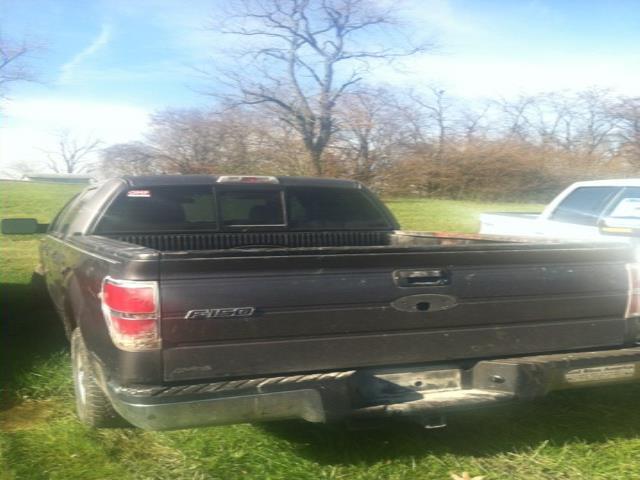 Ford F150 2010 photo 2