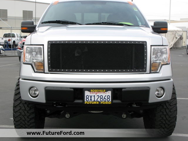 Ford F150 2010 photo 1
