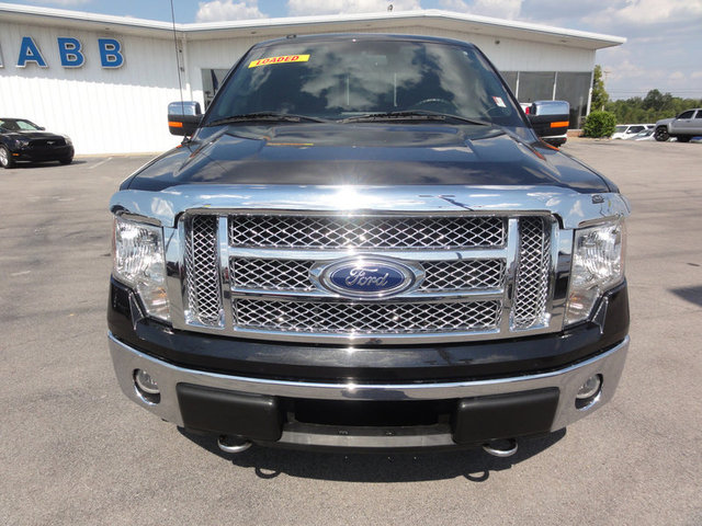 Ford F150 2010 photo 1