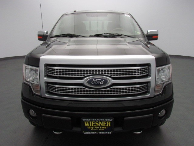 Ford F150 2010 photo 1