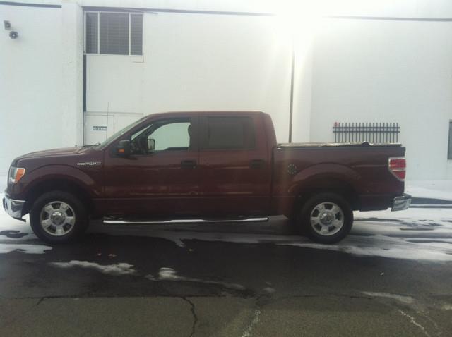 Ford F150 2010 photo 3