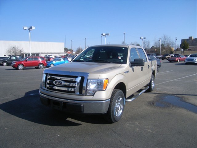 Ford F150 2010 photo 1