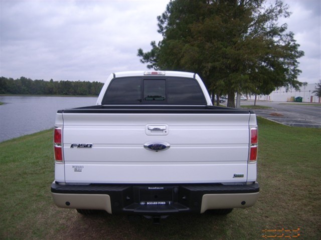 Ford F150 2010 photo 3