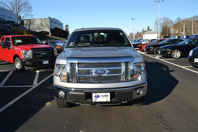 Ford F150 2010 photo 1