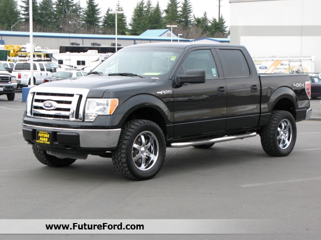Ford F150 2010 photo 2