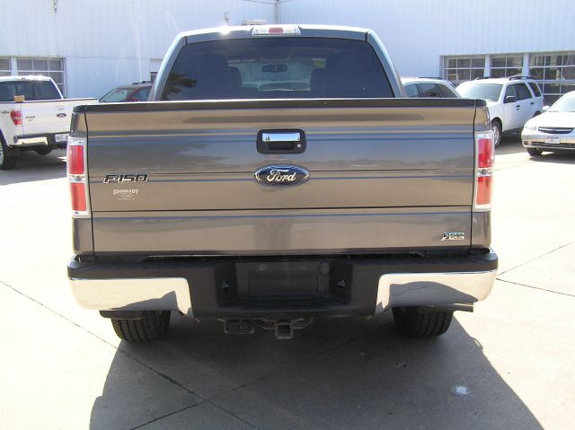 Ford F150 2010 photo 3
