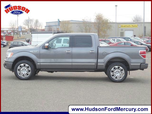 Ford F150 2010 photo 1