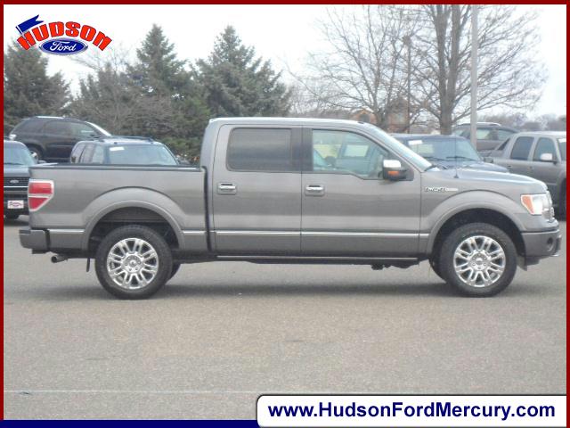 Ford F150 2010 photo 5