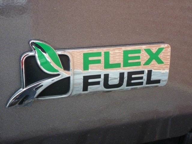 Ford F150 2010 photo 5