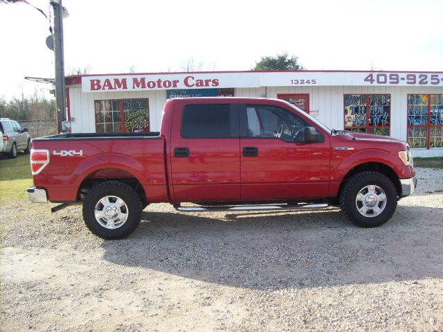 Ford F150 2010 photo 1