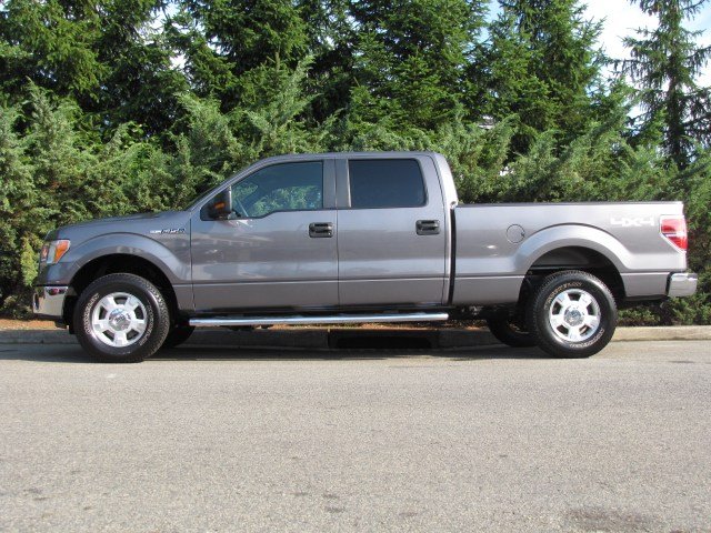 Ford F150 2010 photo 2