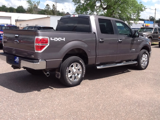 Ford F150 2010 photo 15