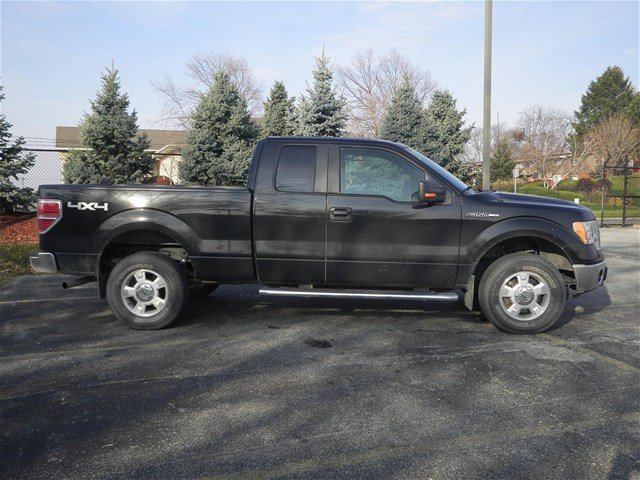 Ford F150 2010 photo 1