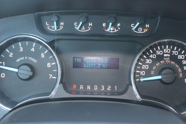 Ford F150 ESi Pickup Truck