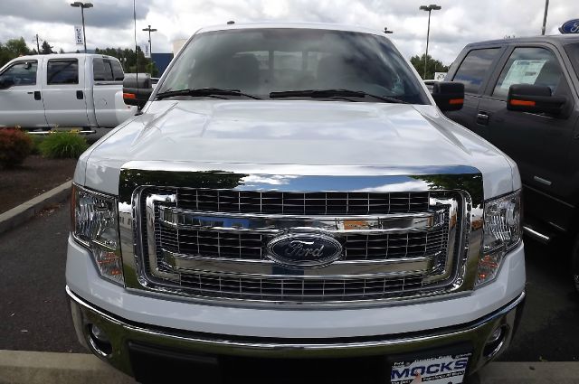 Ford F150 2013 photo 1