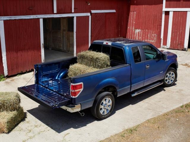 Ford F150 2013 photo 1
