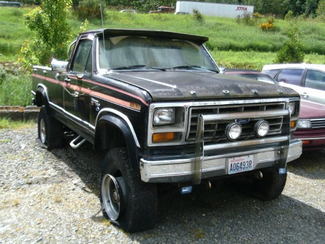 Ford F250 1981 photo 3