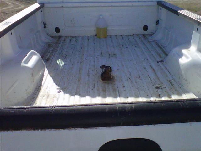 Ford F250 1999 photo 3