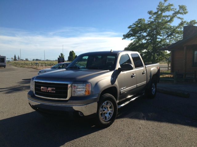 GMC Sierra 1500 2007 photo 3