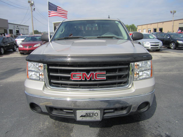 GMC Sierra 1500 2007 photo 2